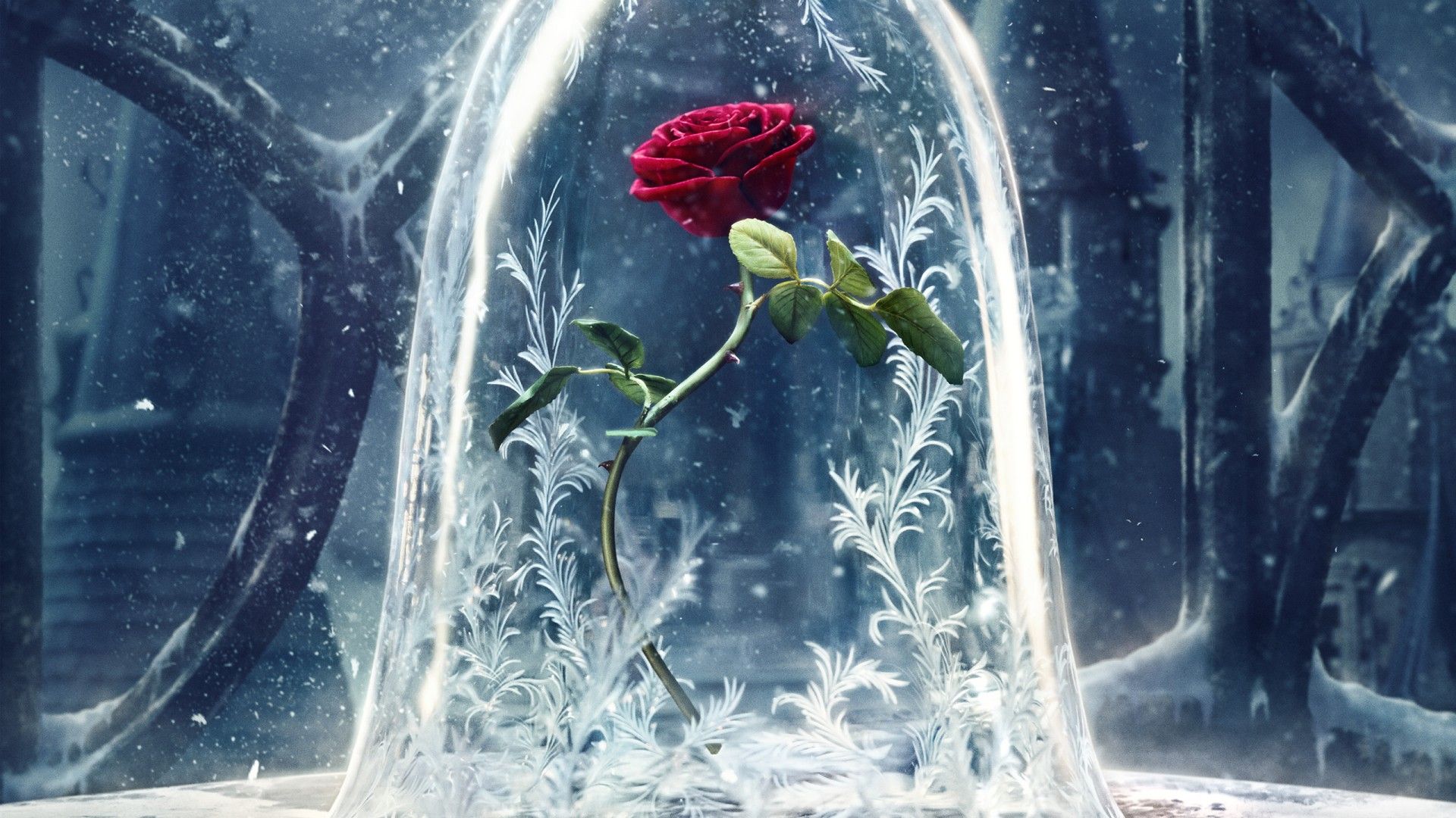 Beauty and the Beast background