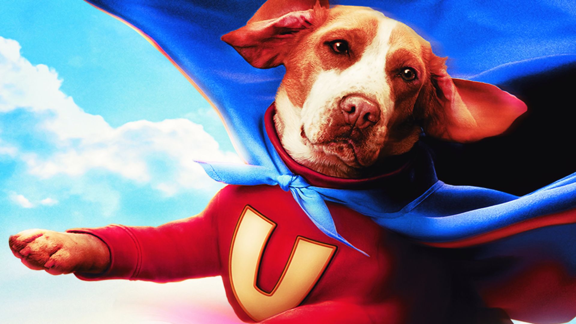 Underdog background