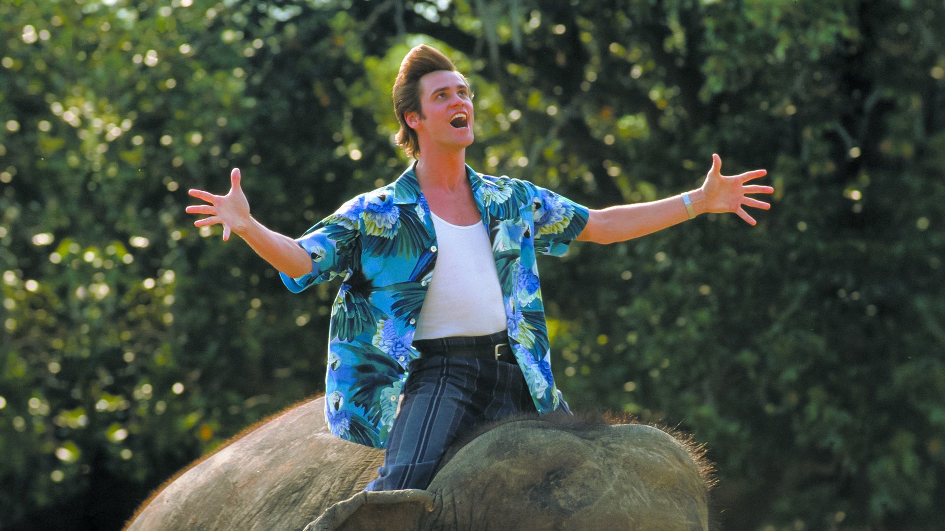 Ace Ventura: When Nature Calls background