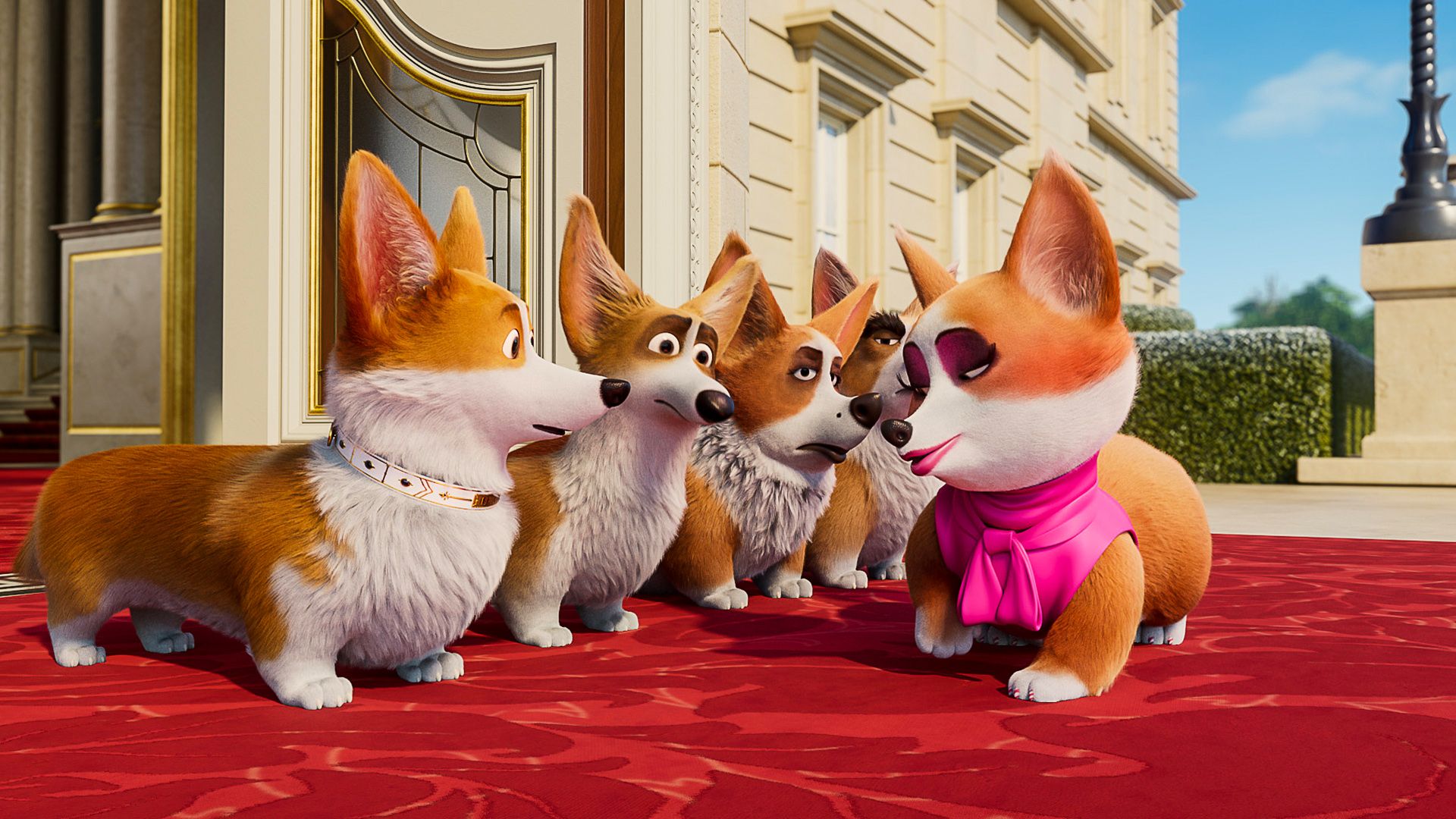 The Queen's Corgi background