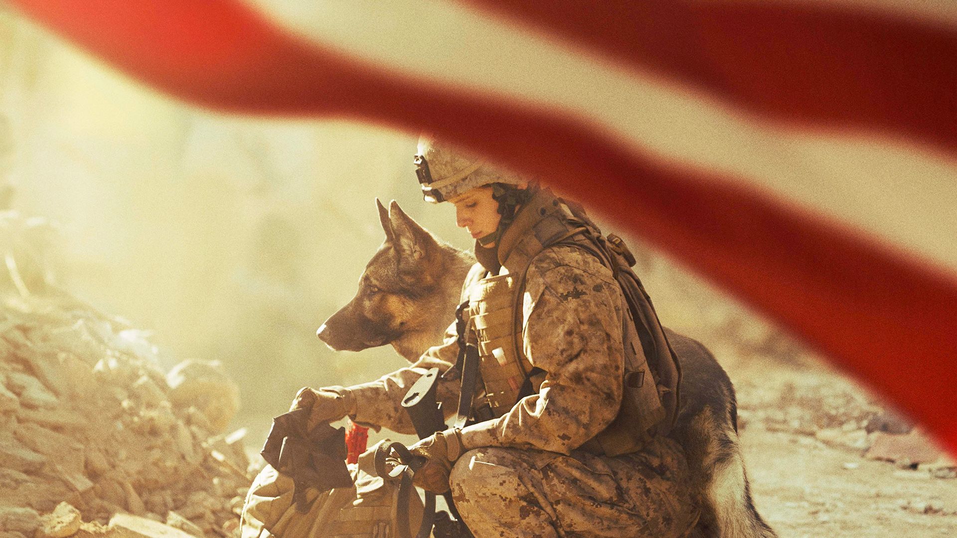 Megan Leavey background