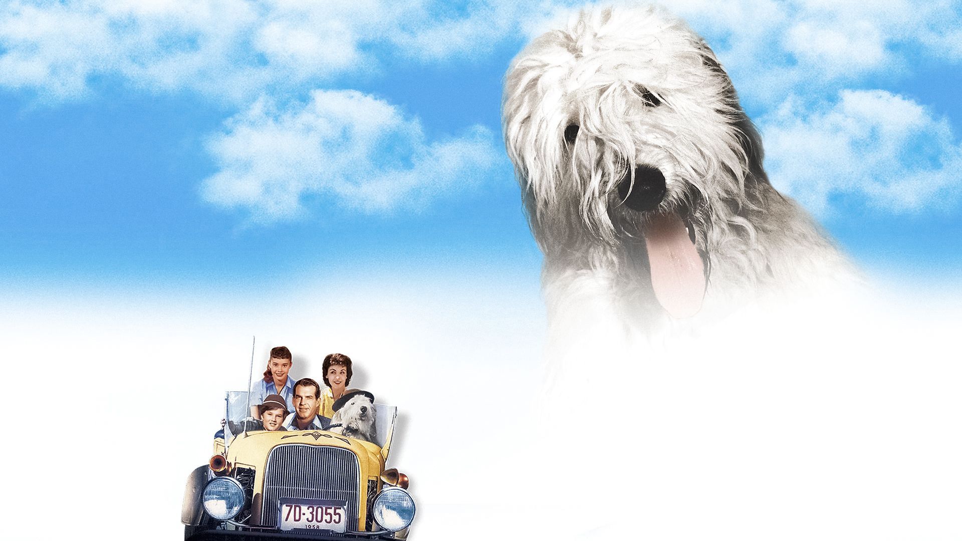 The Shaggy Dog background