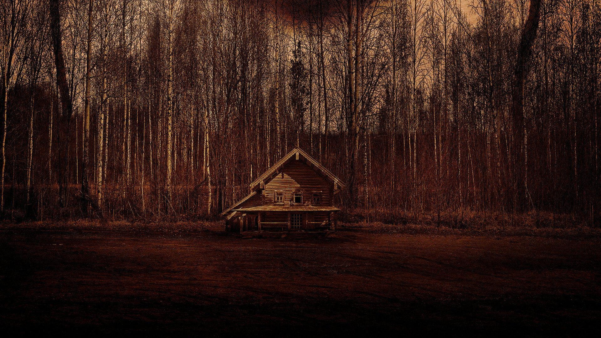 Cabin Fever background