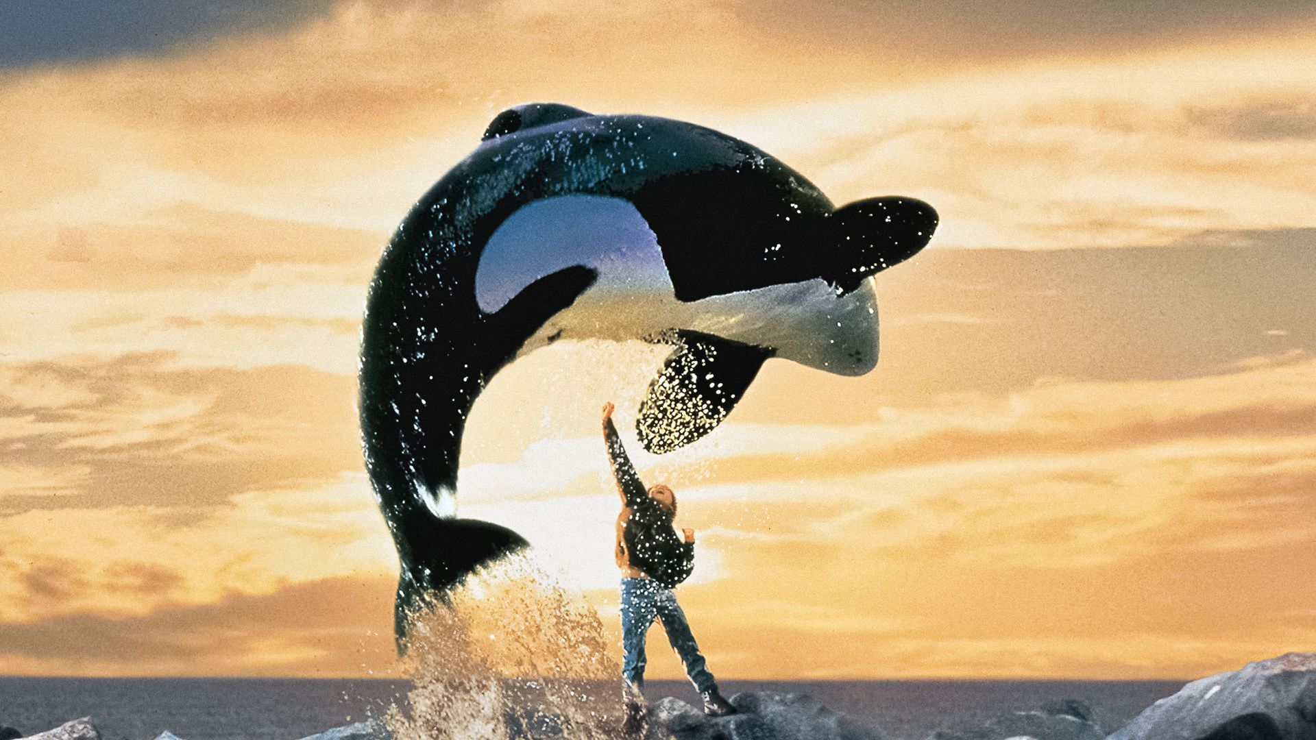 Free Willy background