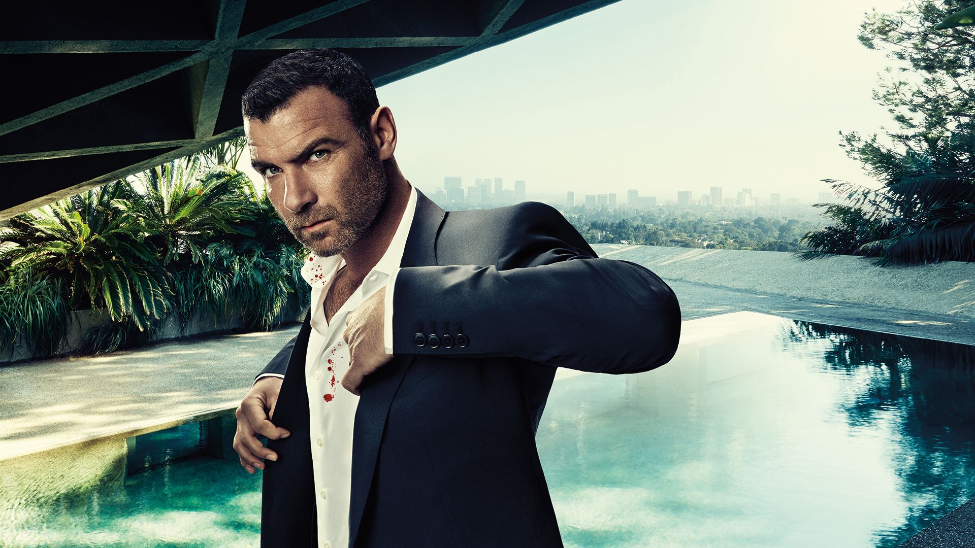 Ray Donovan background