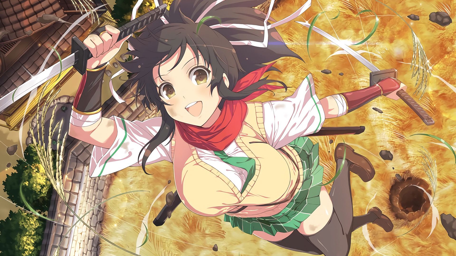 Senran Kagura: Ninja Flash! background