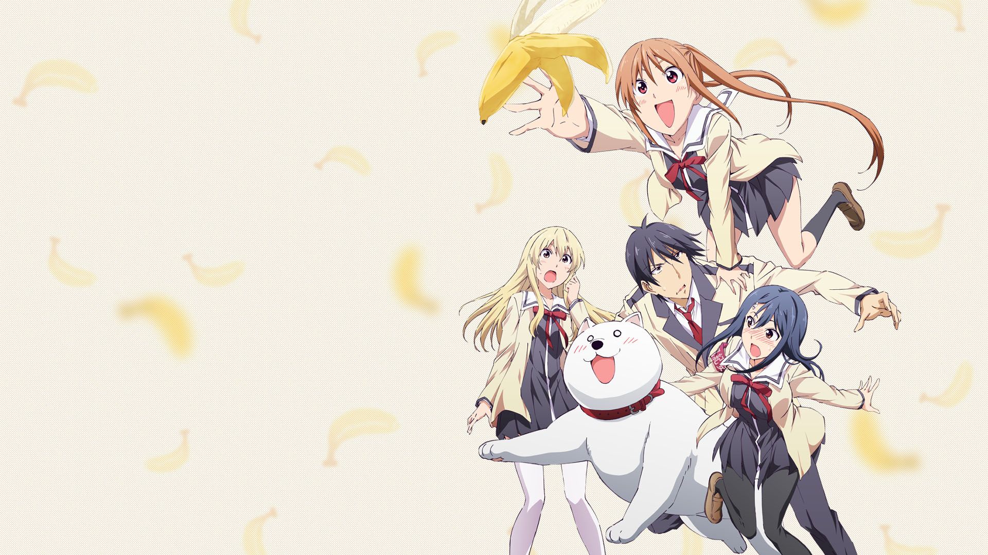 Aho Girl background