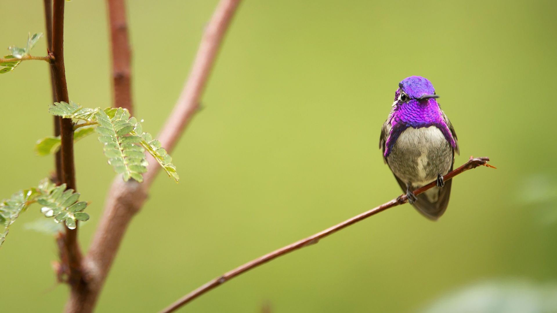 Life in Colour background