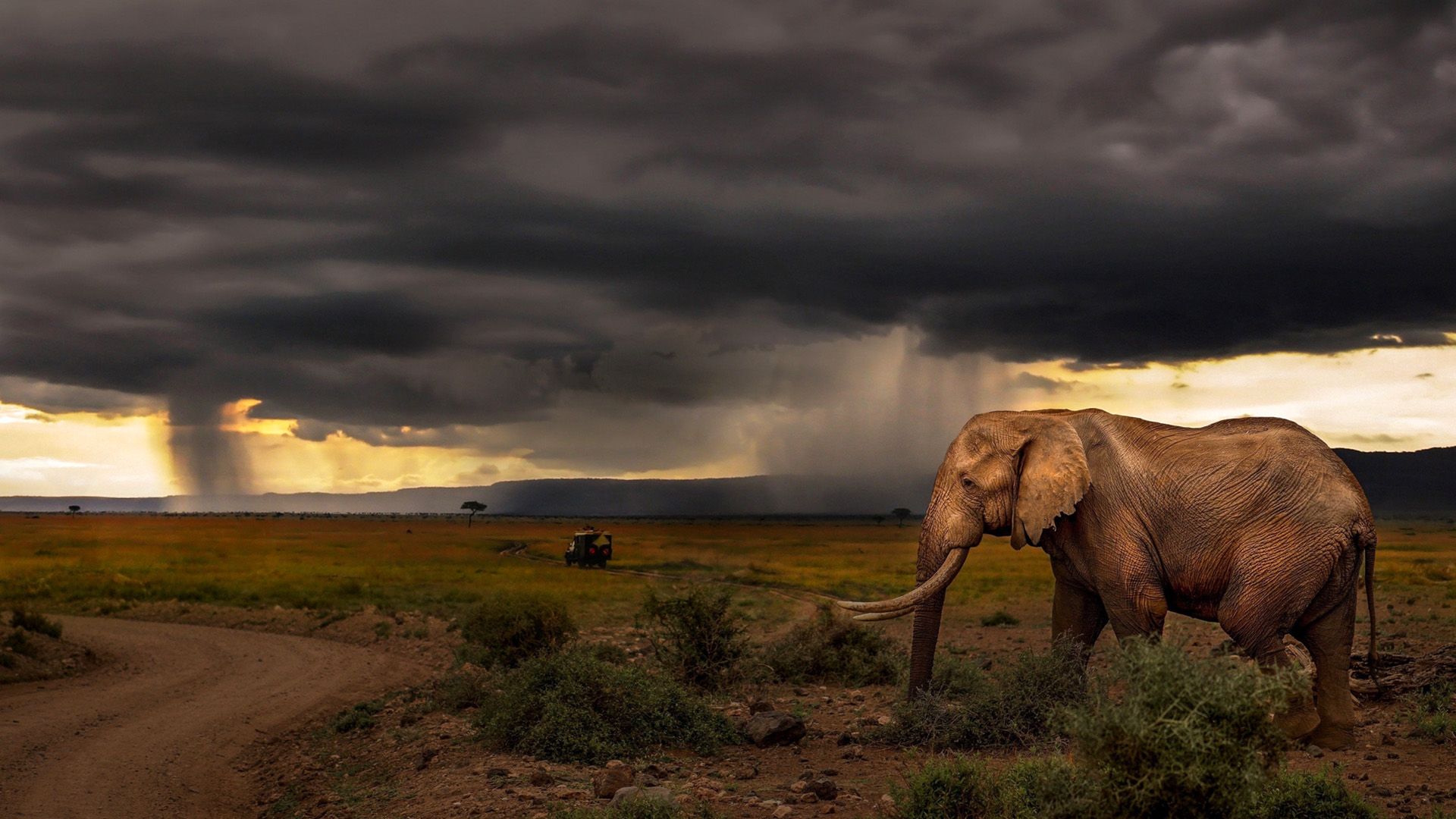 Chasing the Rains background