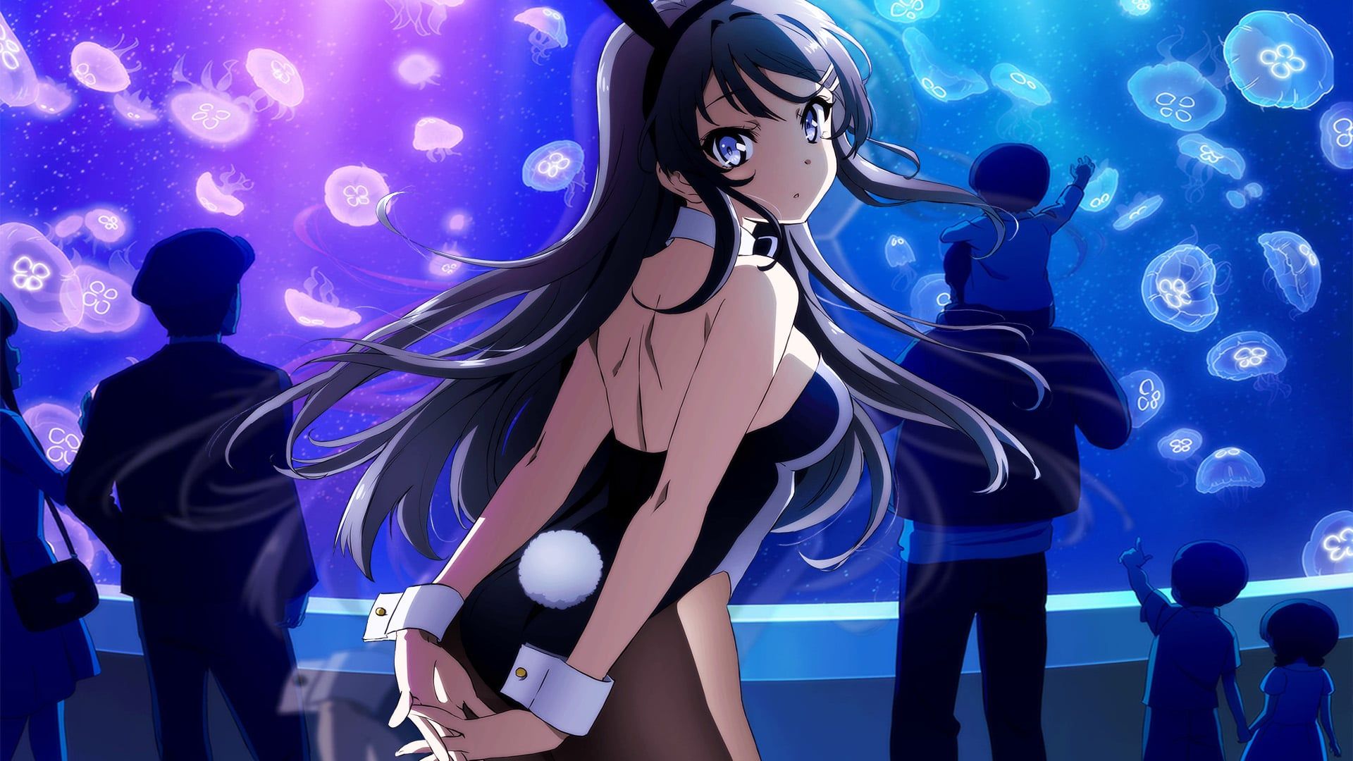 Rascal Does Not Dream of Bunny Girl Senpai background