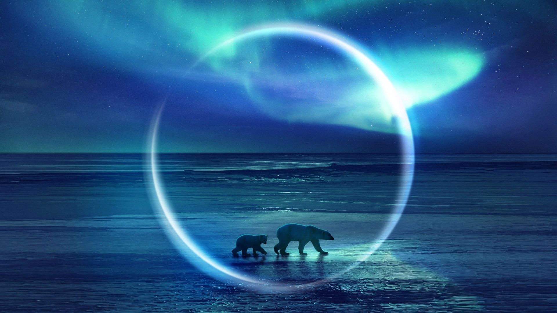 Frozen Planet II background