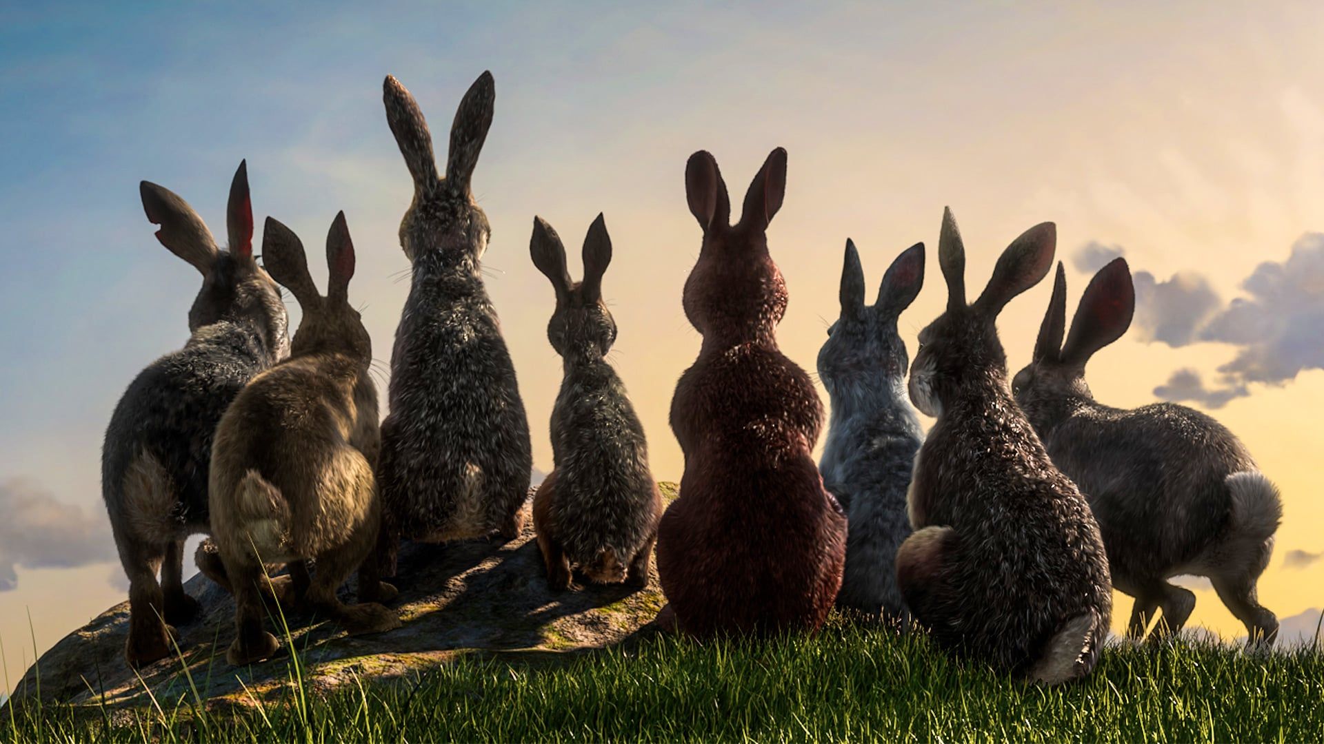 Watership Down background