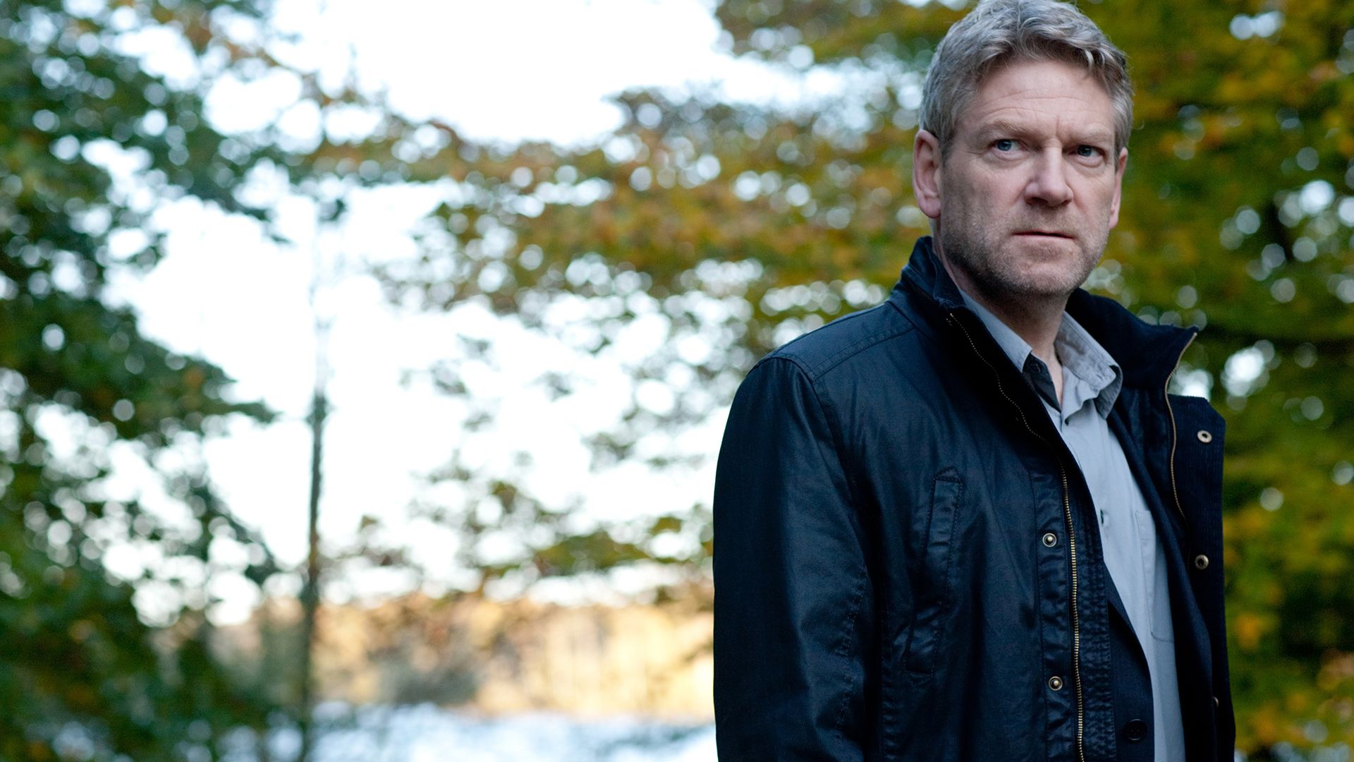 Wallander background