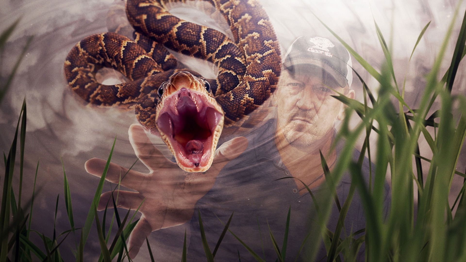 Swamp People: Serpent Invasion background