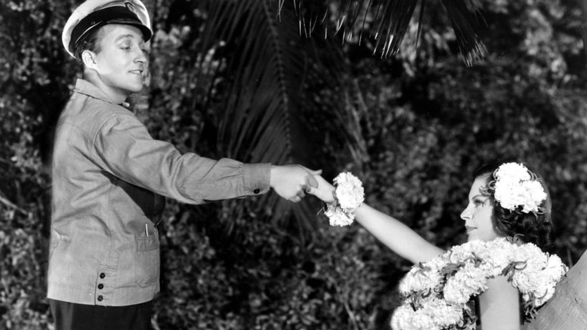 Waikiki Wedding background