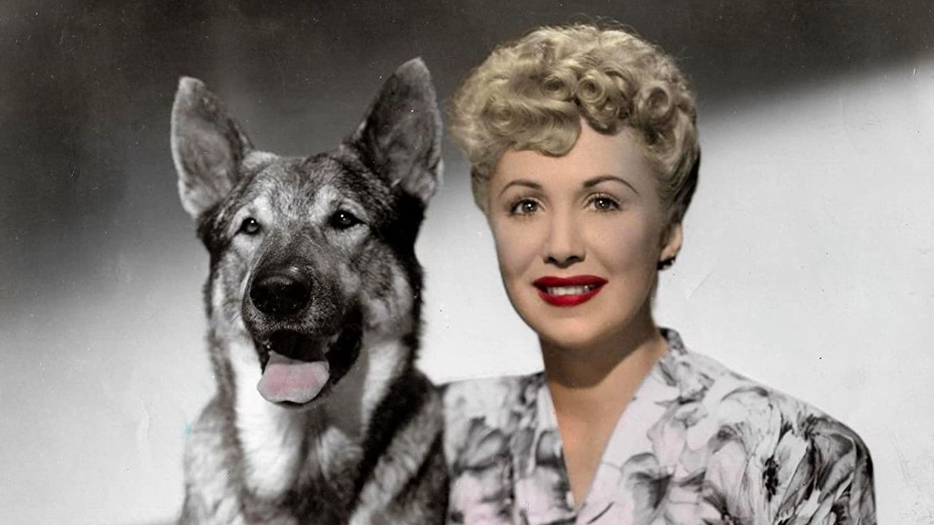 The Return of Rin Tin Tin background