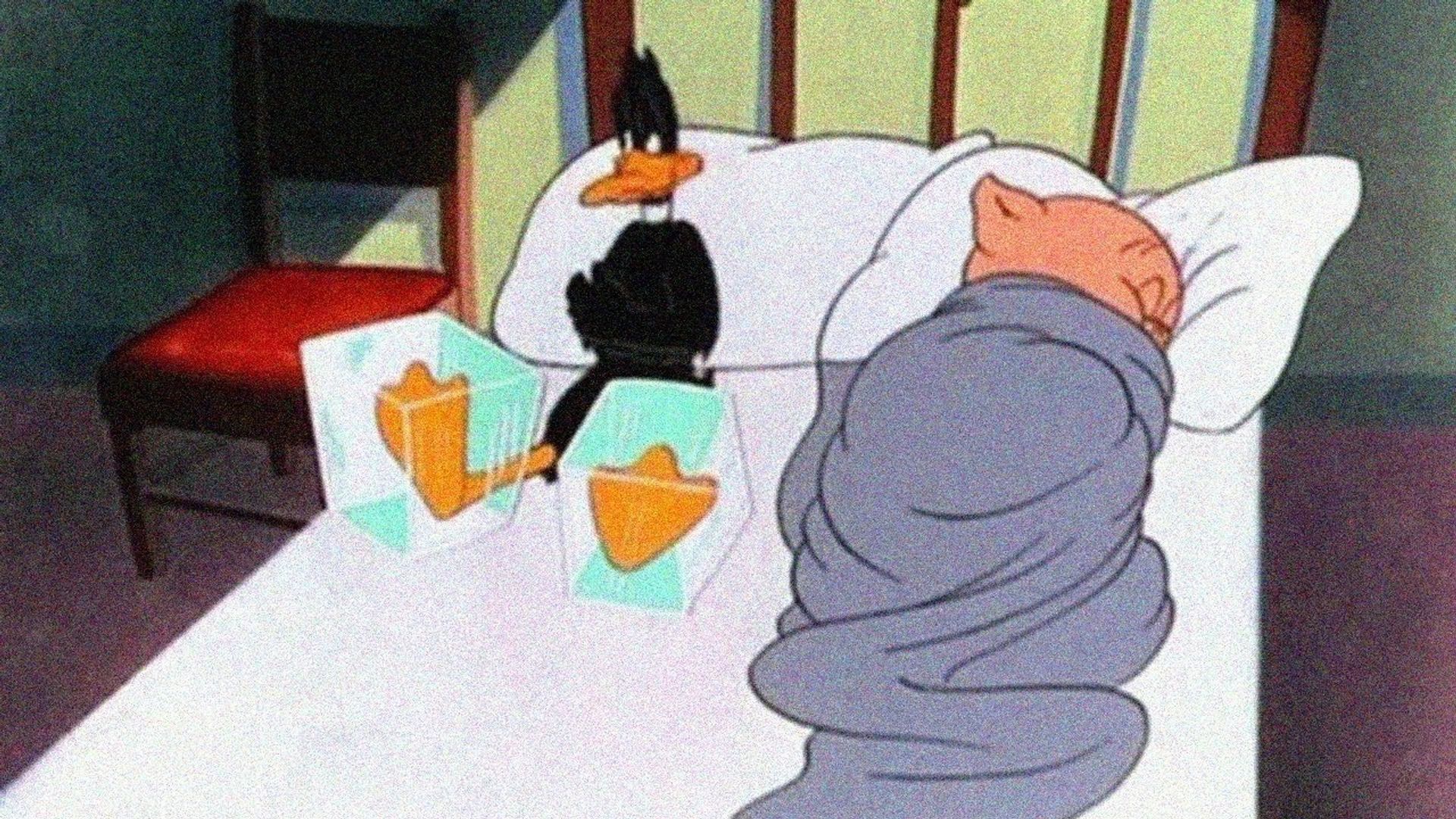 Daffy Duck Slept Here background