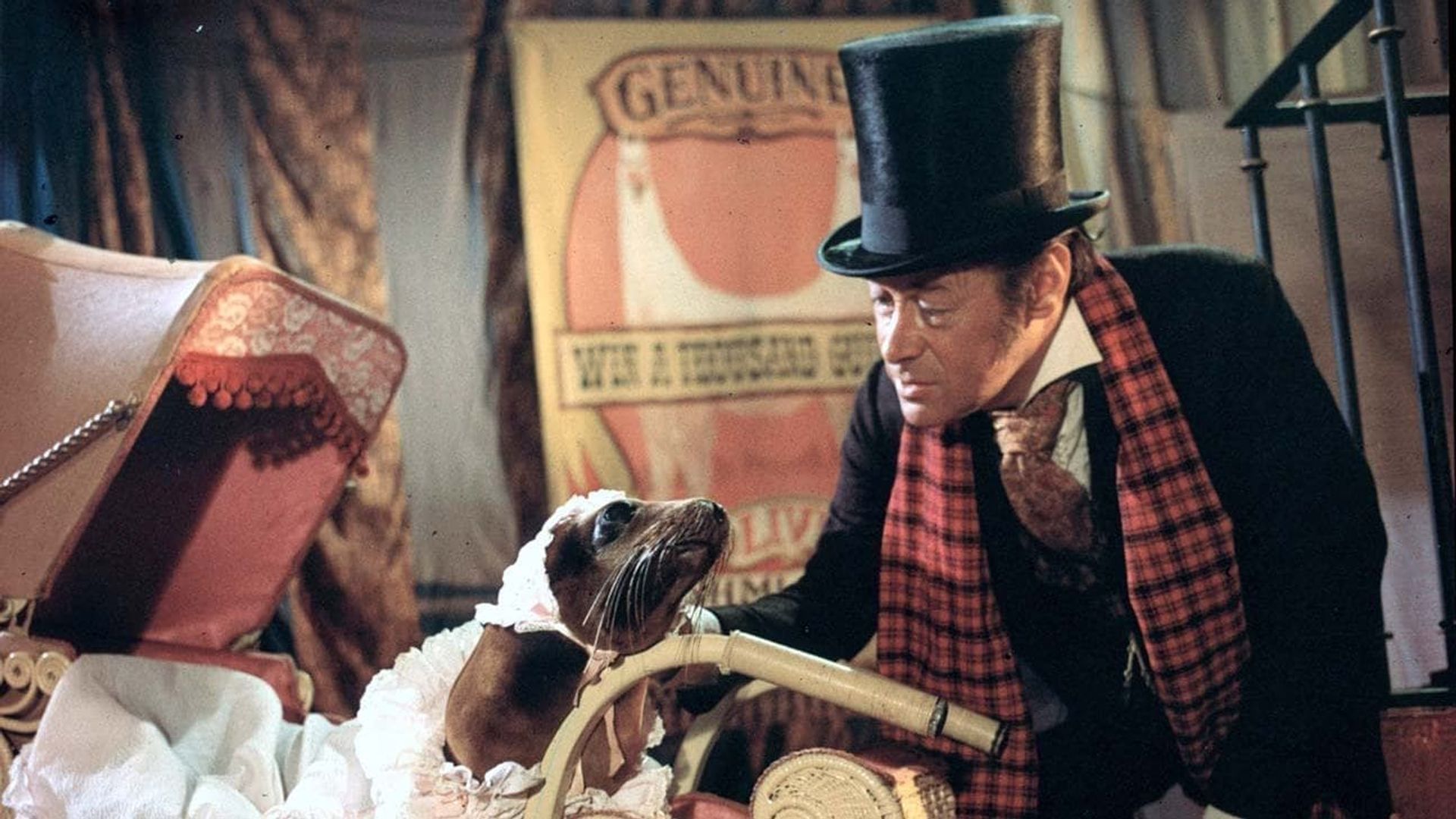 Doctor Dolittle background