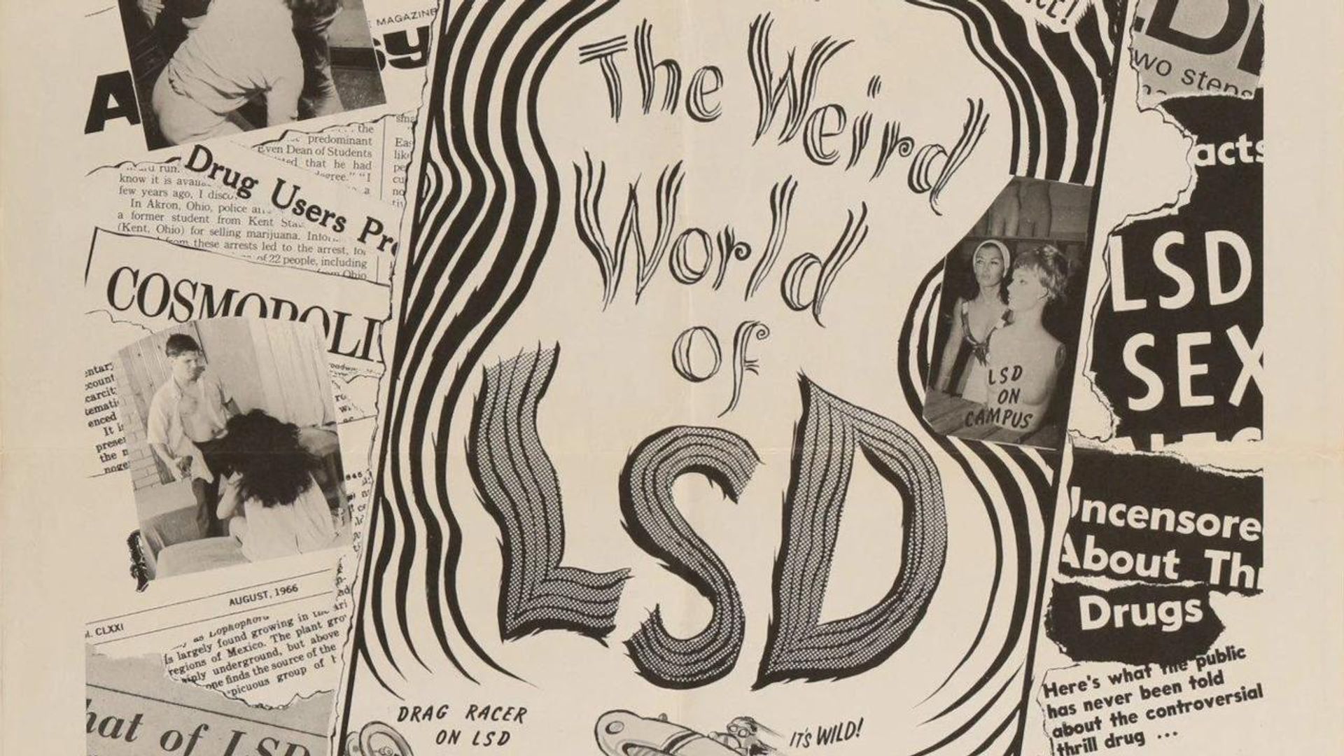 The Weird World of LSD background