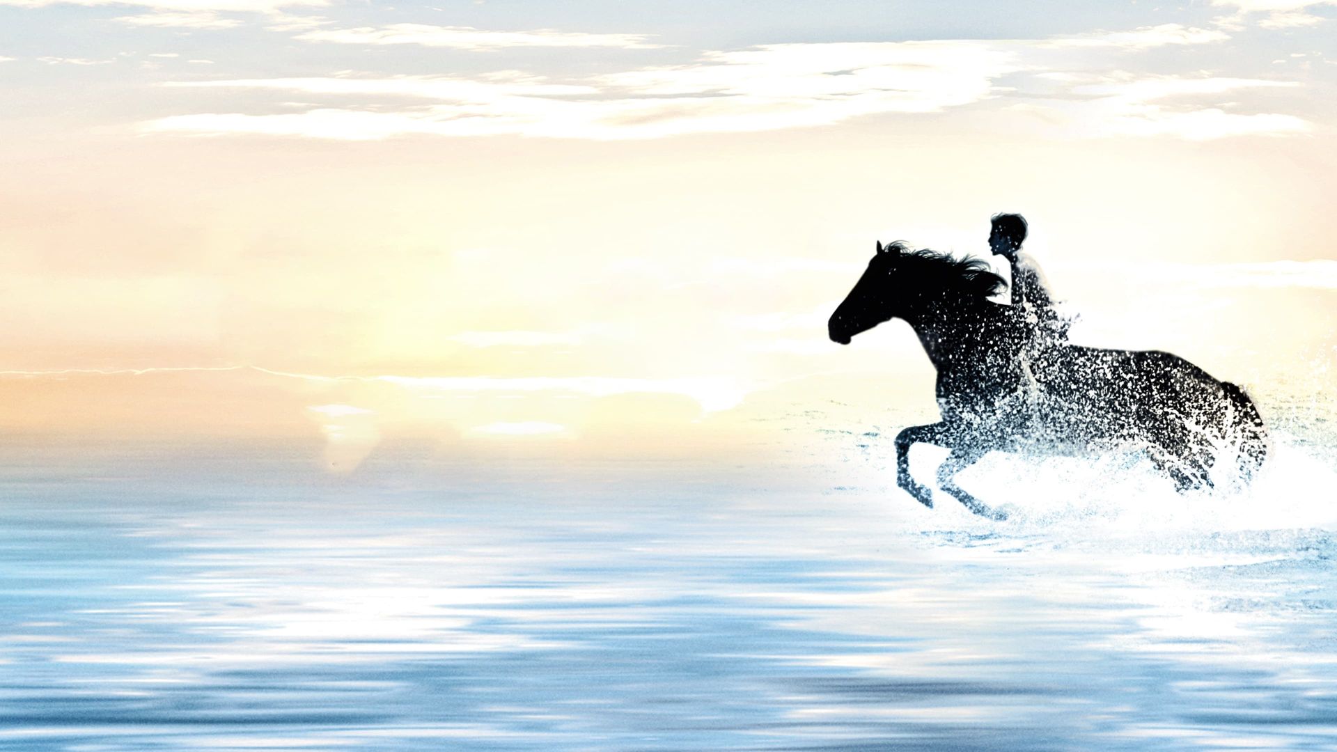 The Black Stallion background