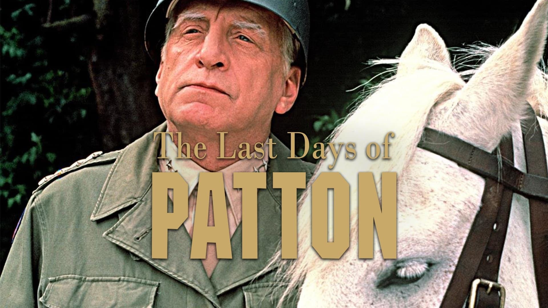 The Last Days of Patton background