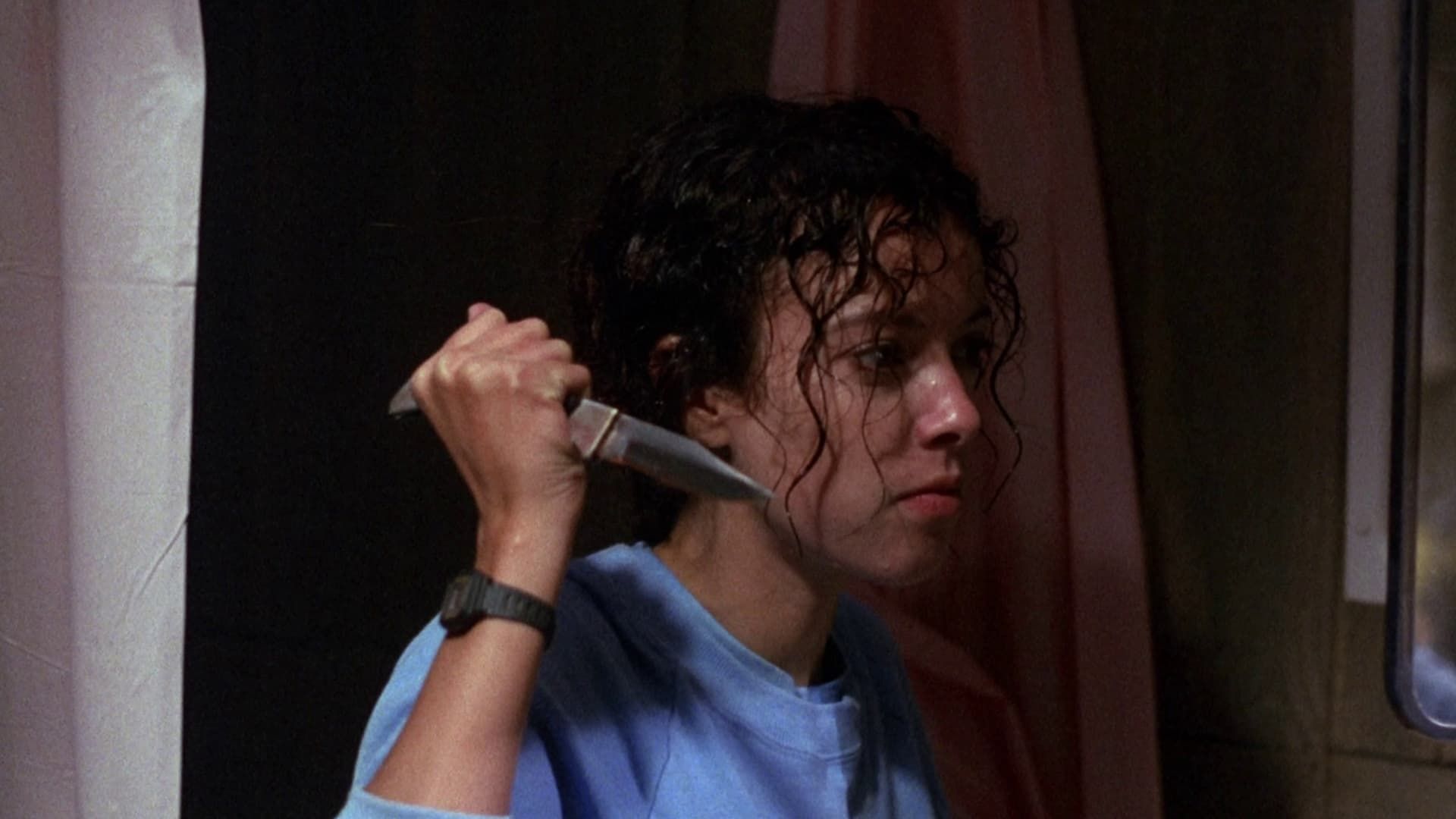 Sleepaway Camp II: Unhappy Campers background