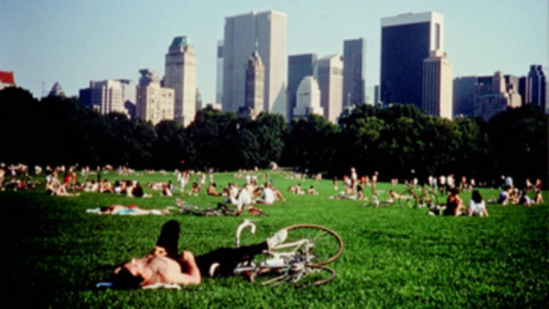 Central Park background