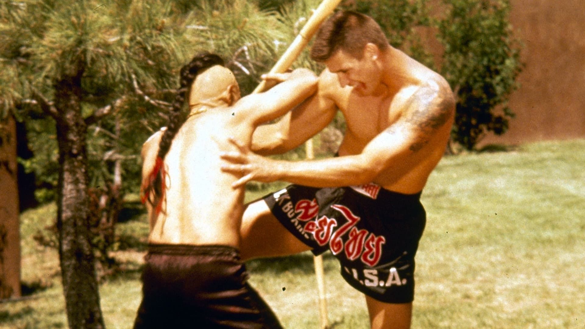 Kickboxer 4: The Aggressor background