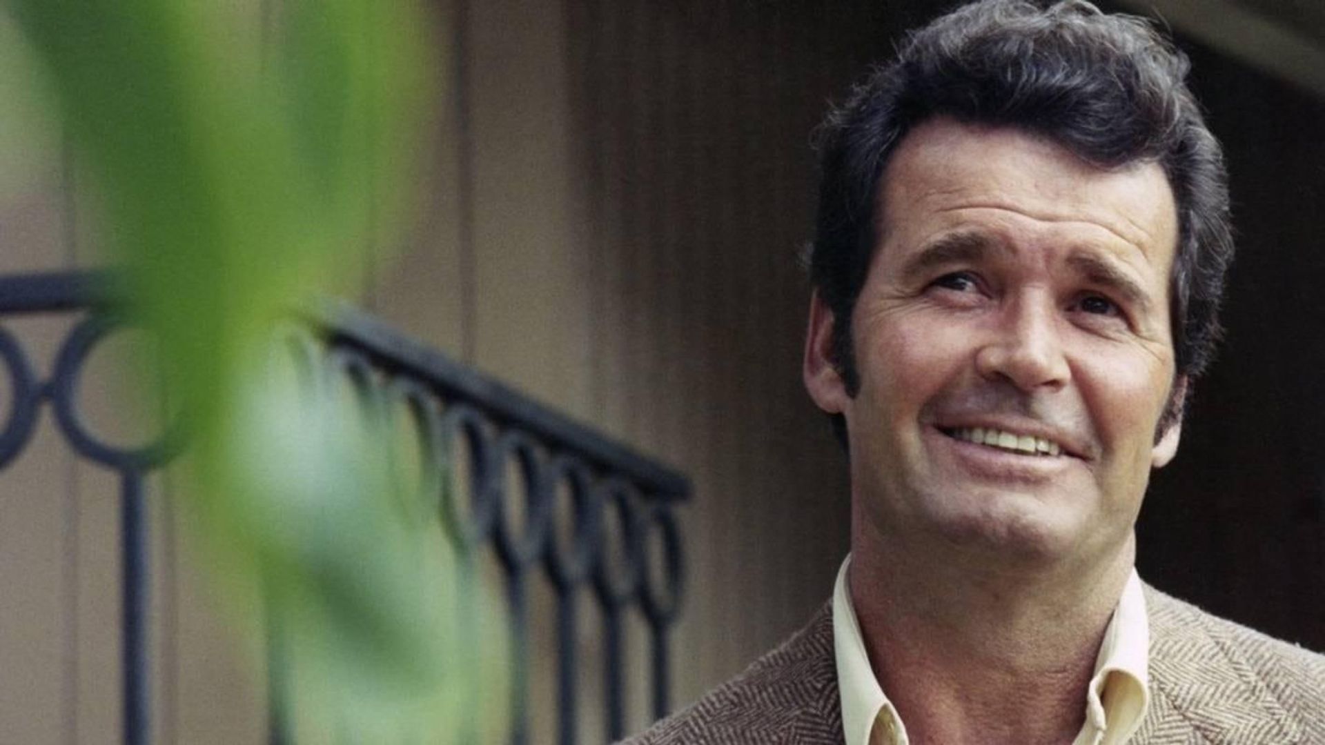 The Rockford Files: Punishment and Crime background