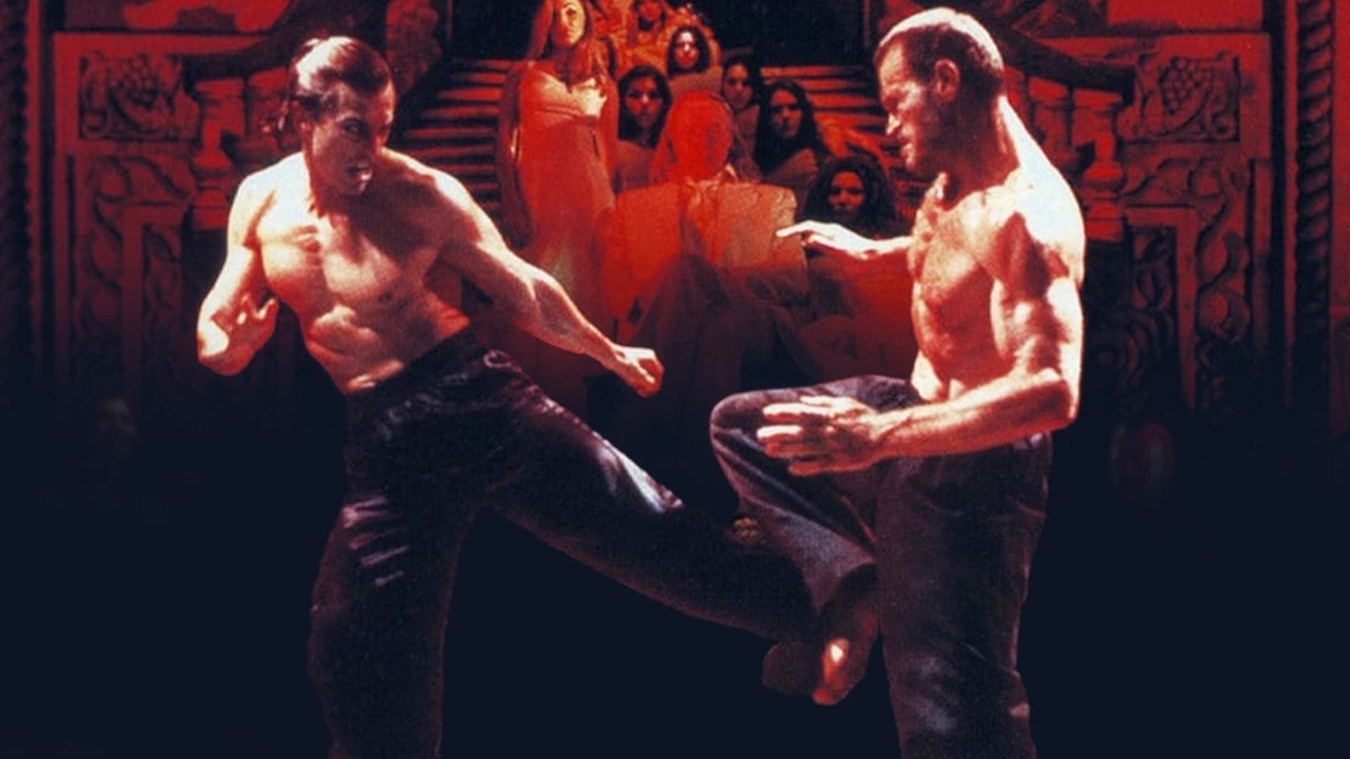 Bloodsport: The Dark Kumite background