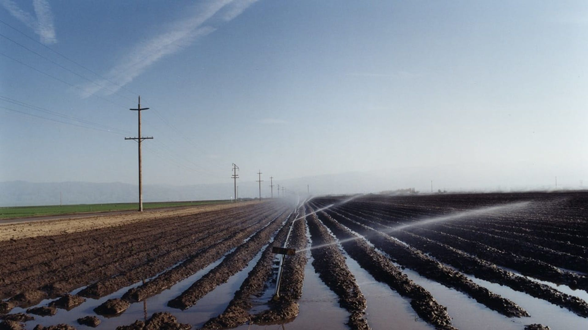 El Valley Centro background