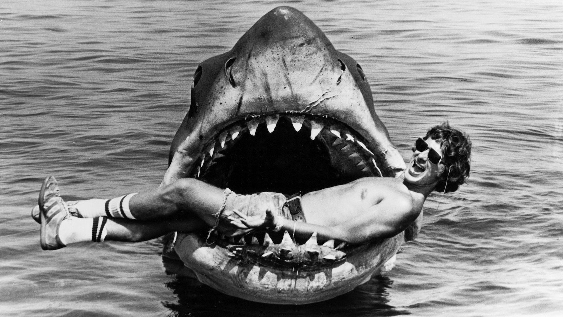 The Making of Steven Spielberg's 'Jaws' background