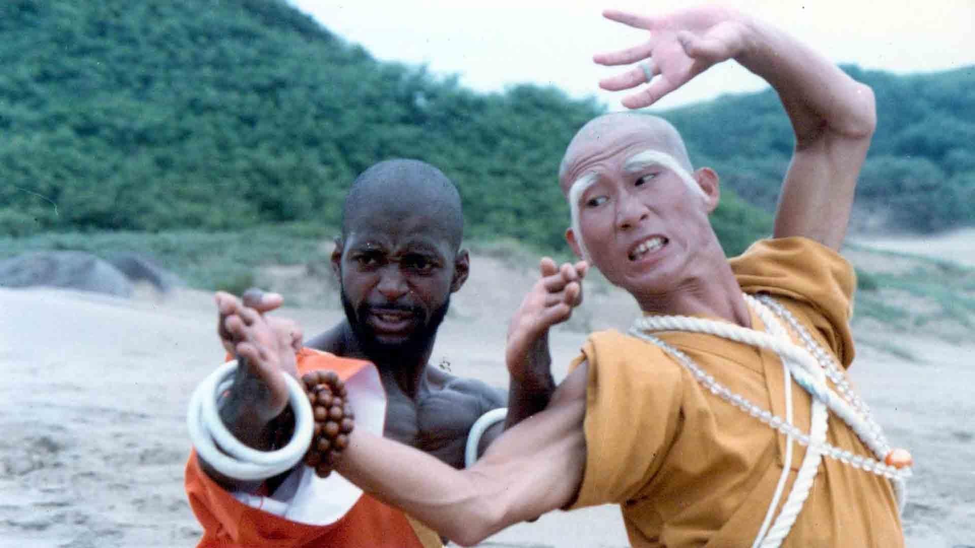 Shaolin Dolemite background