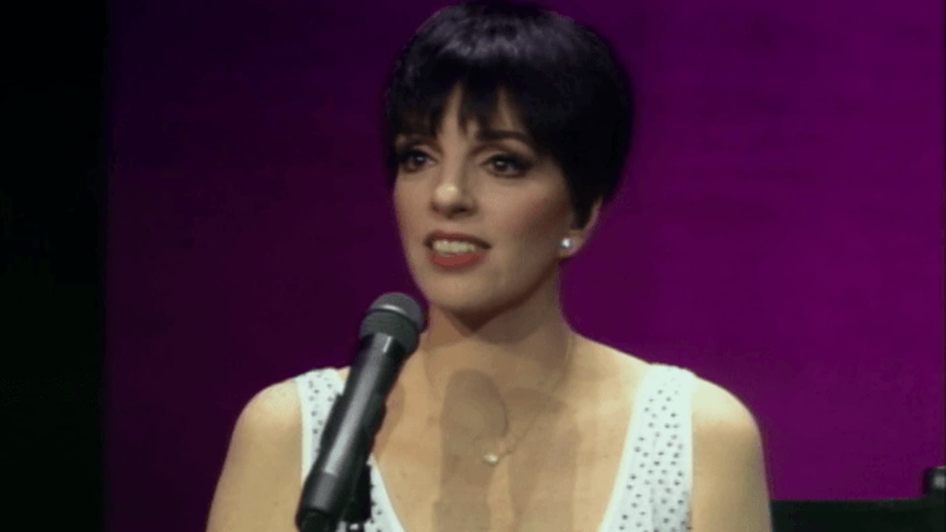 Liza Minnelli Live from Radio City Music Hall background