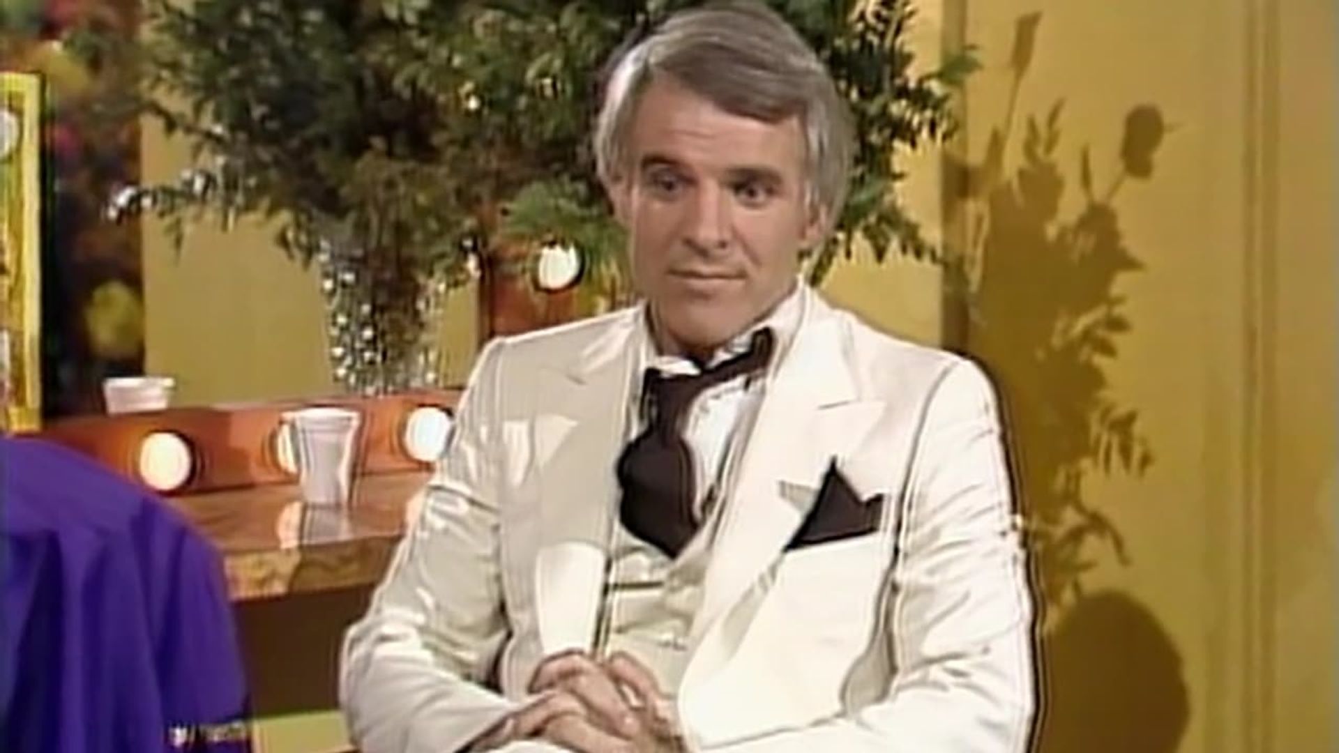 Steve Martin: A Wild and Crazy Guy background