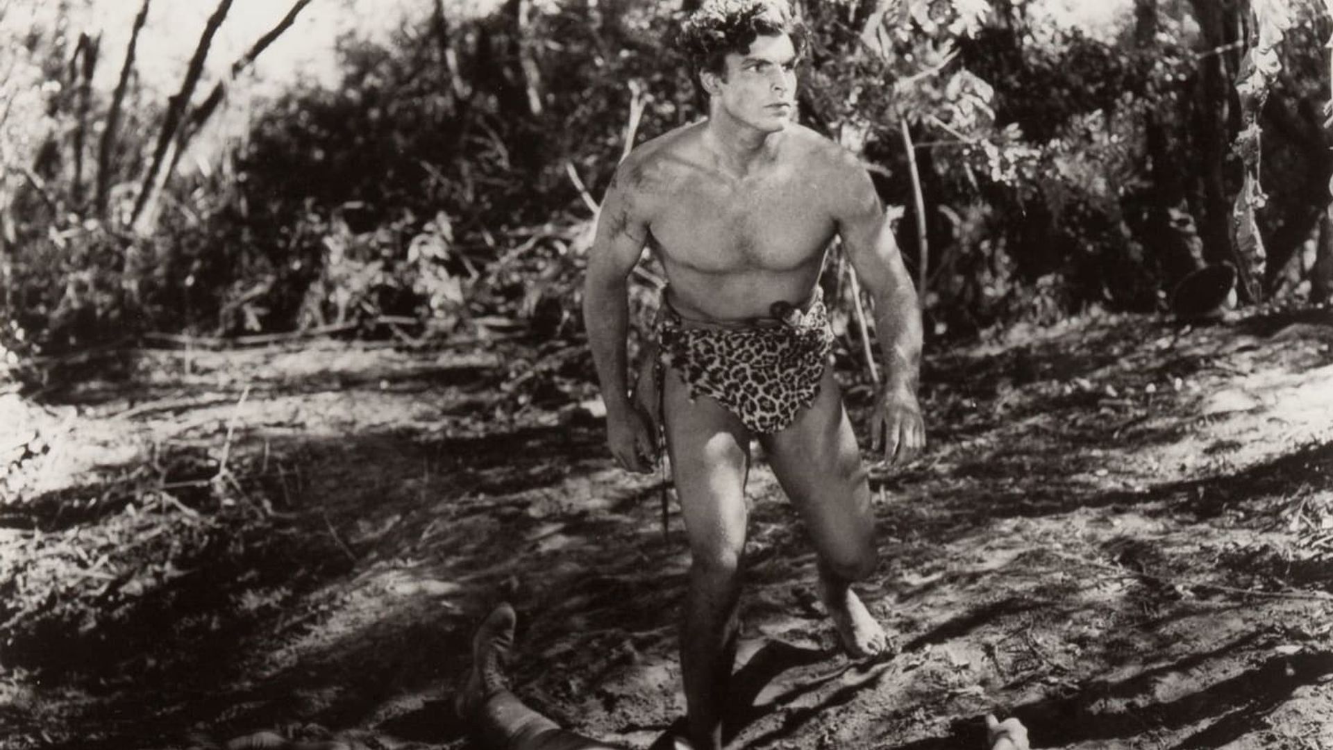 Tarzan: Silver Screen King of the Jungle background