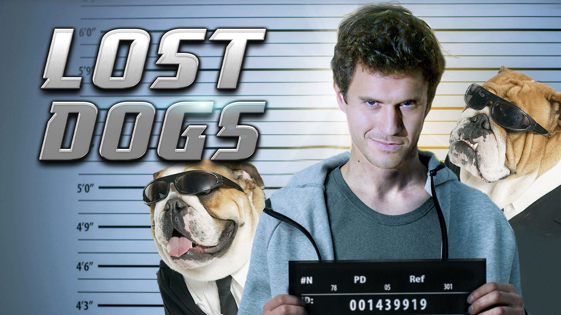 Lost Dogs background