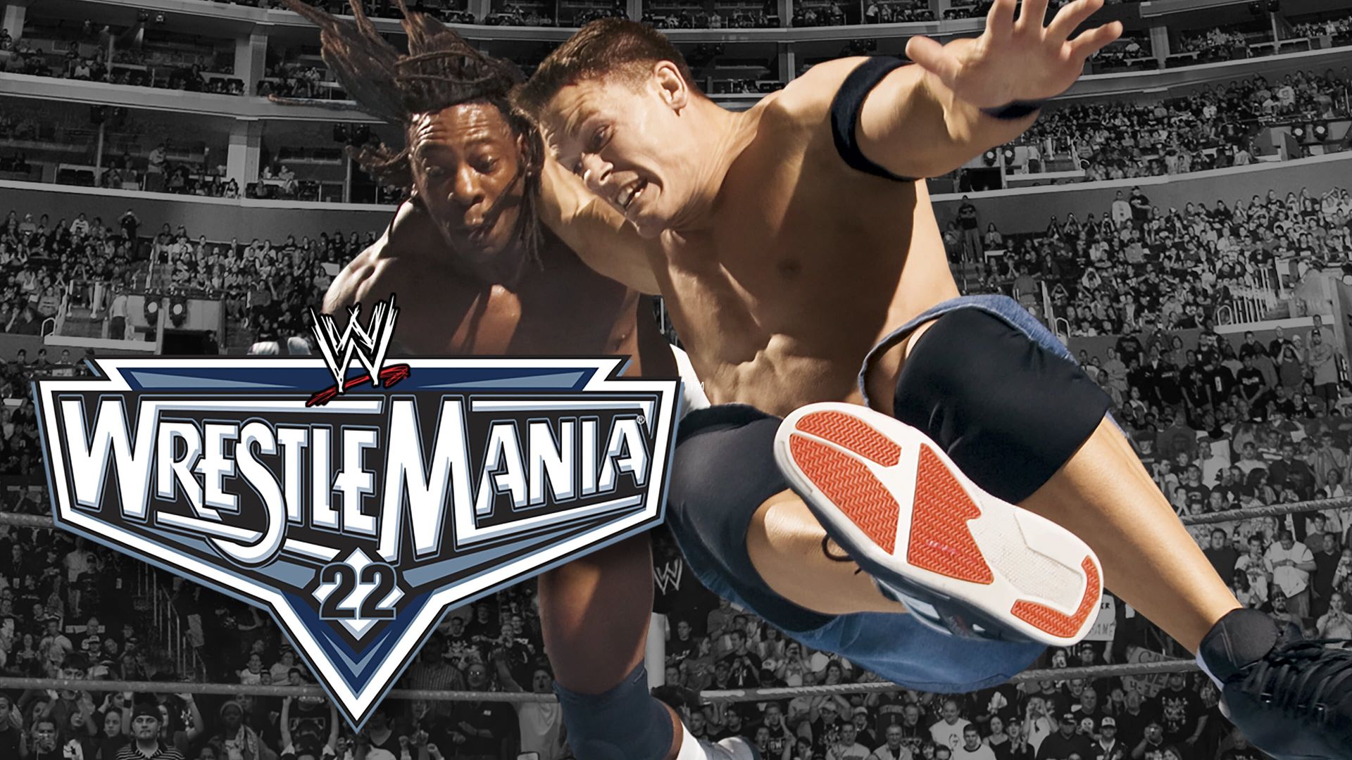 WrestleMania 22 background