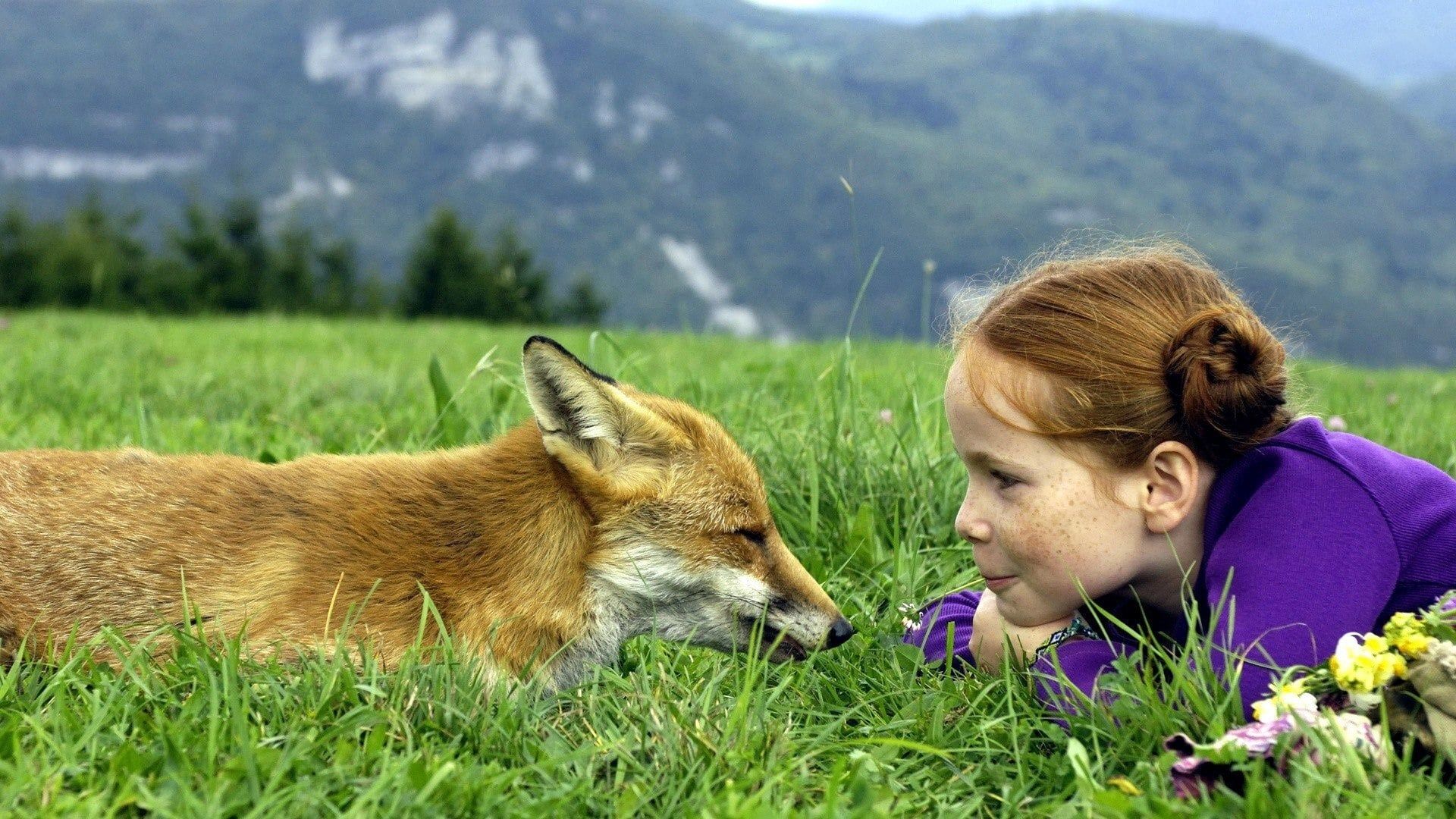 The Fox and the Child background