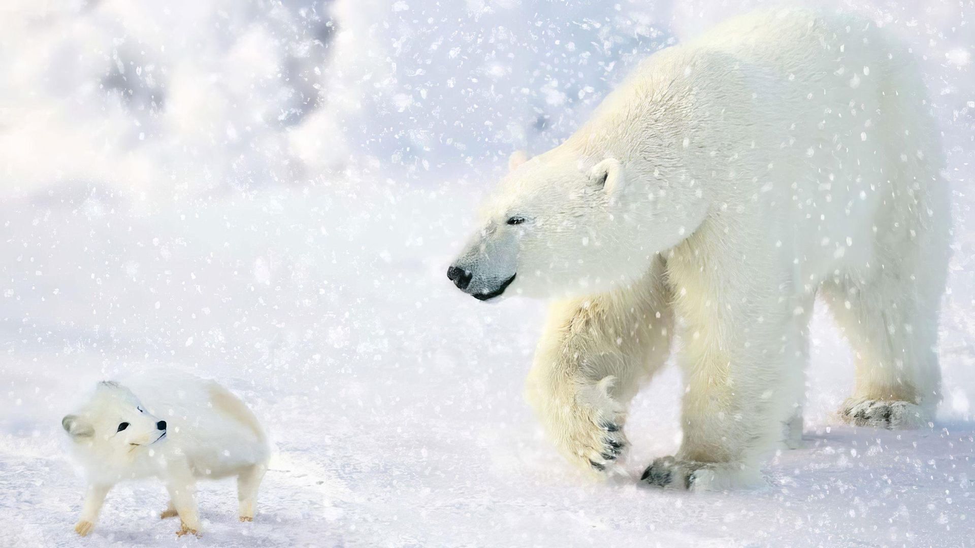 The Great Polar Bear Adventure background