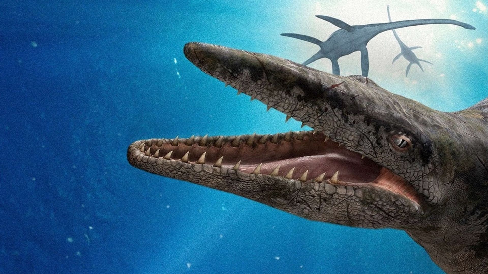 Sea Monsters: A Prehistoric Adventure background