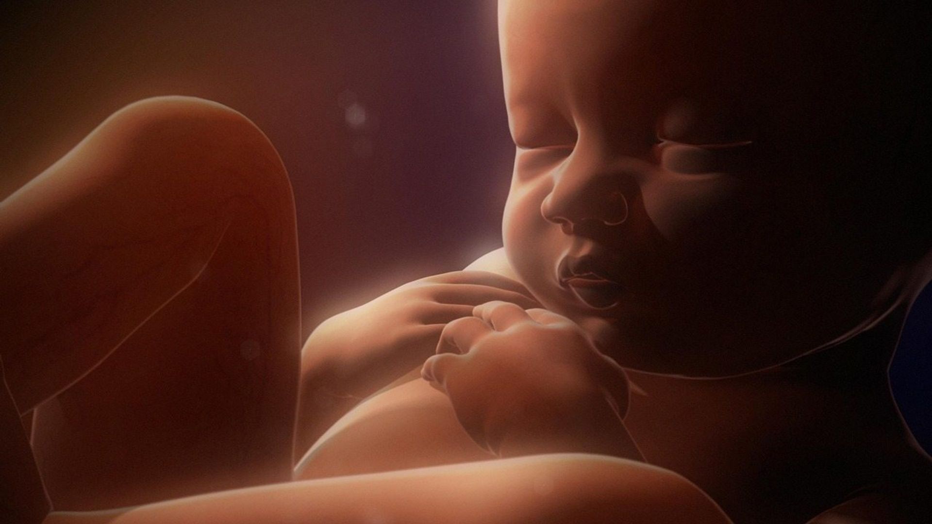 In the Womb: Multiples background