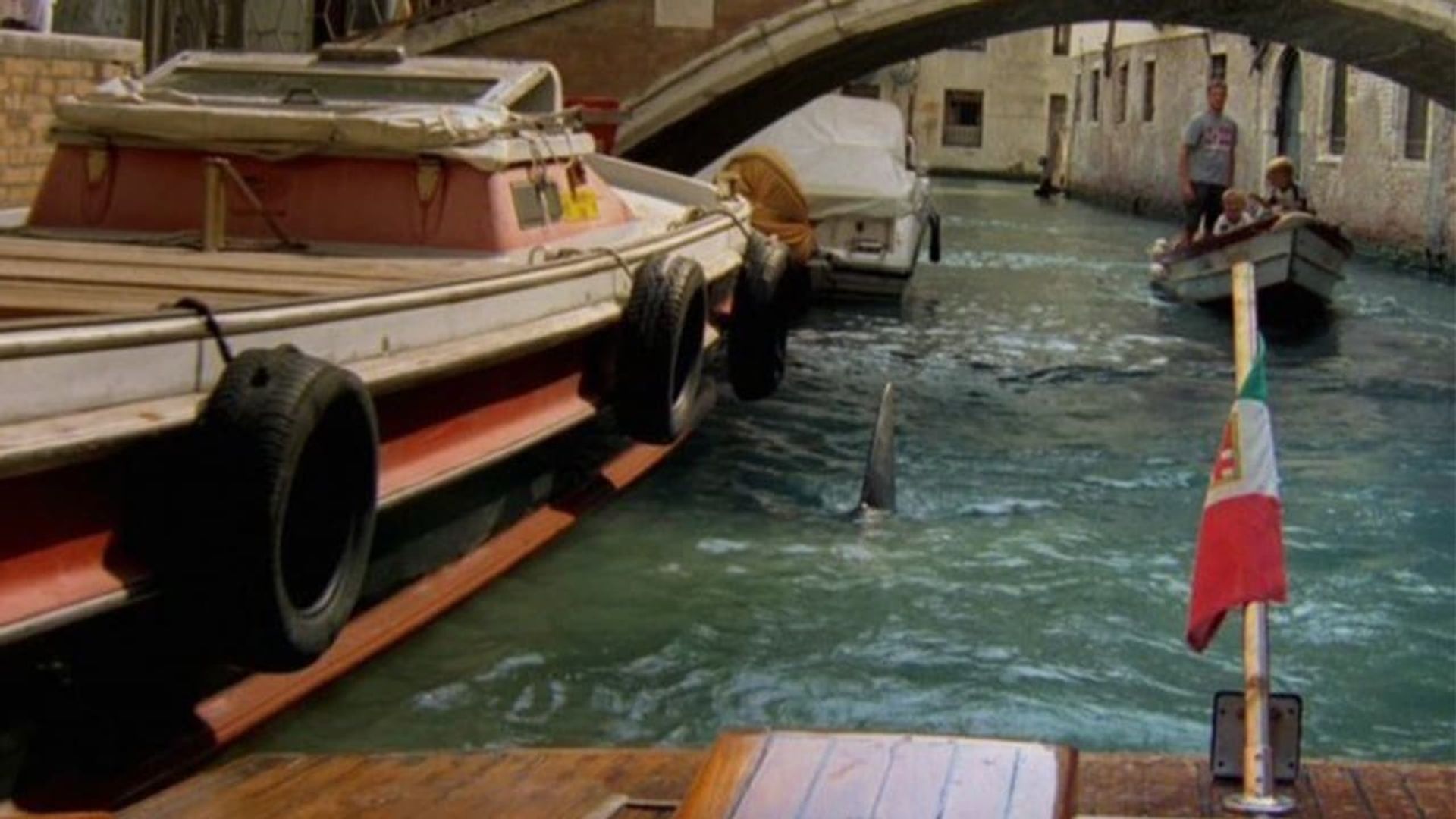 Shark in Venice background