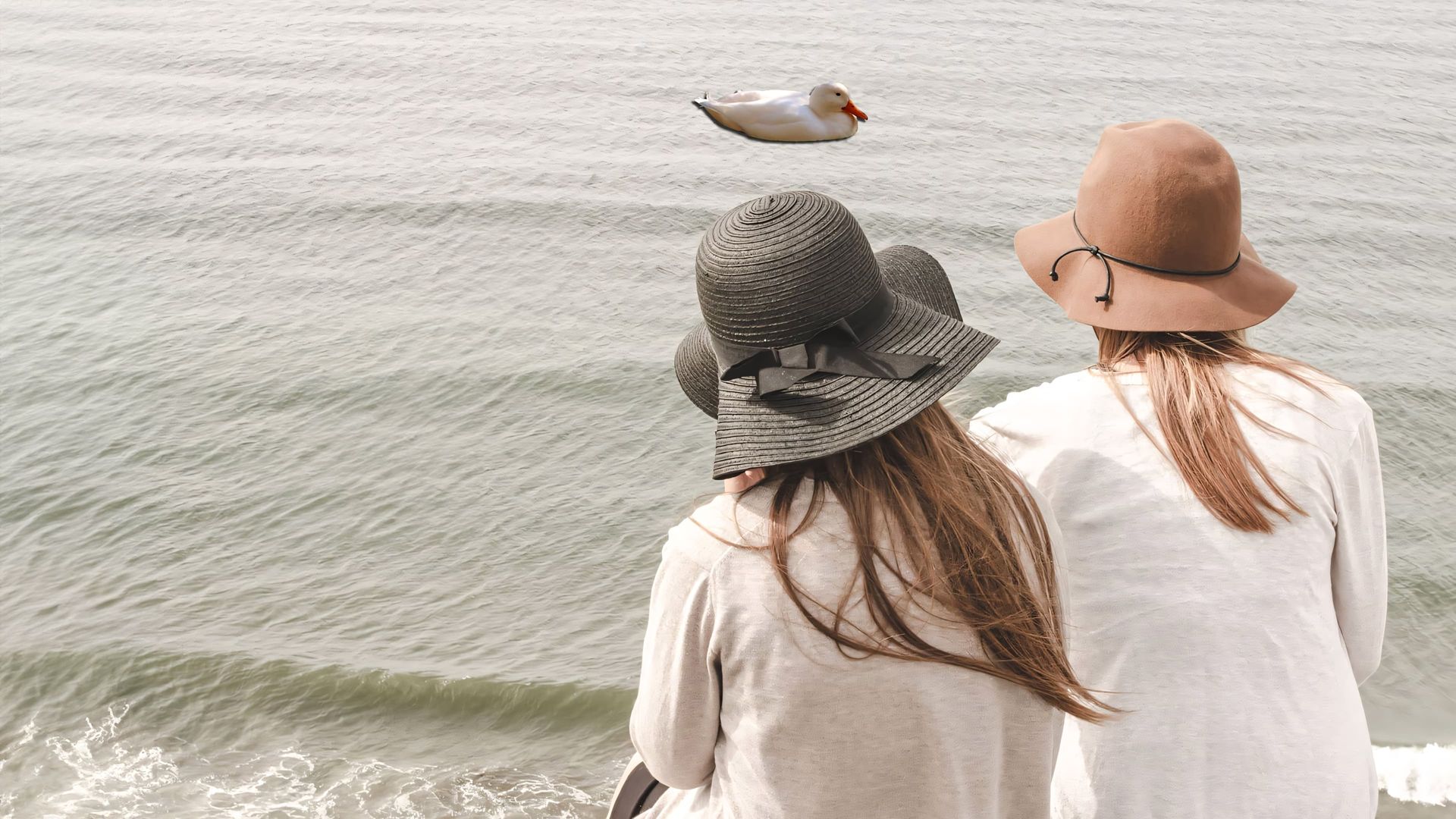 2 Girls, 1 Duck background