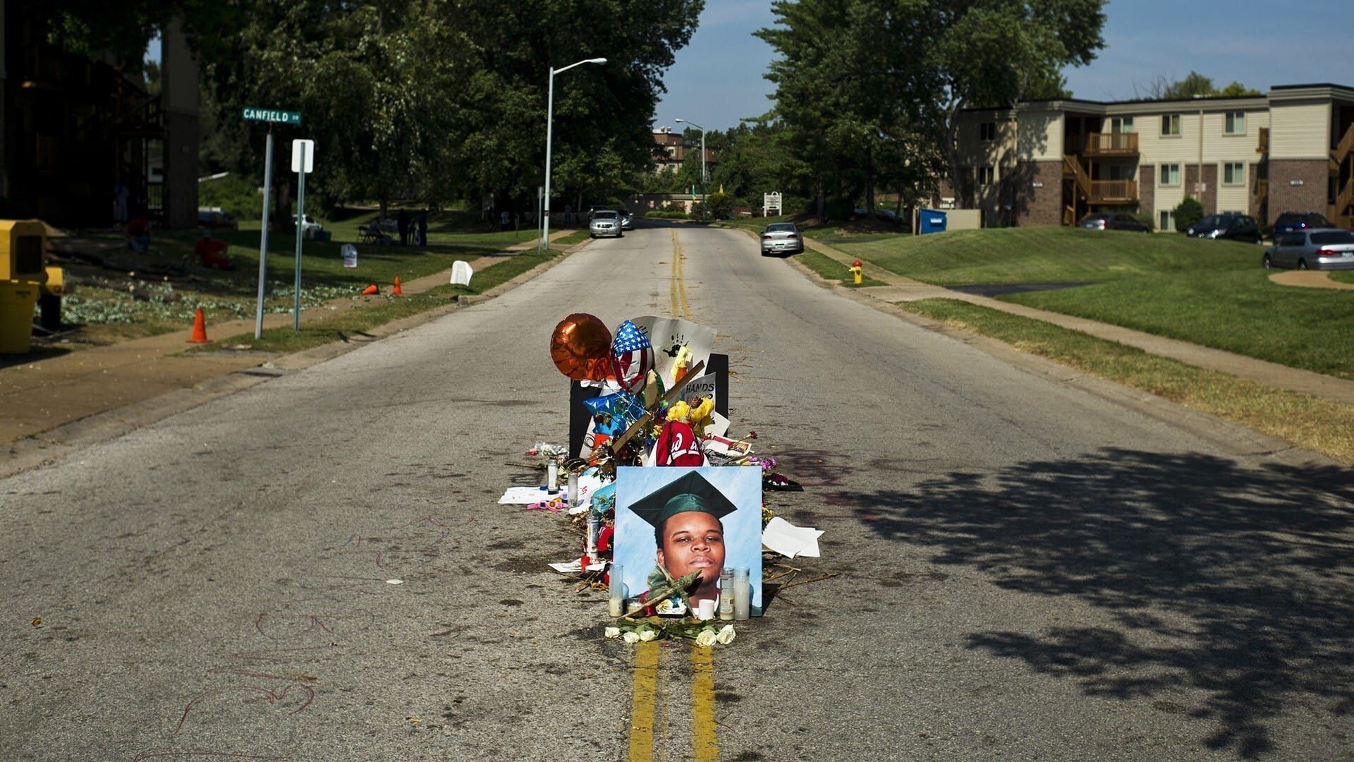 What Killed Michael Brown? background