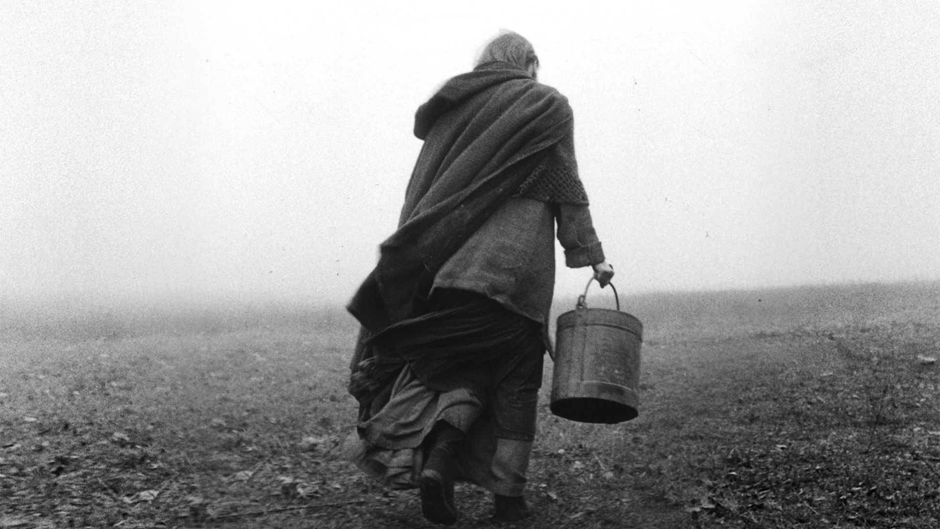 The Turin Horse background