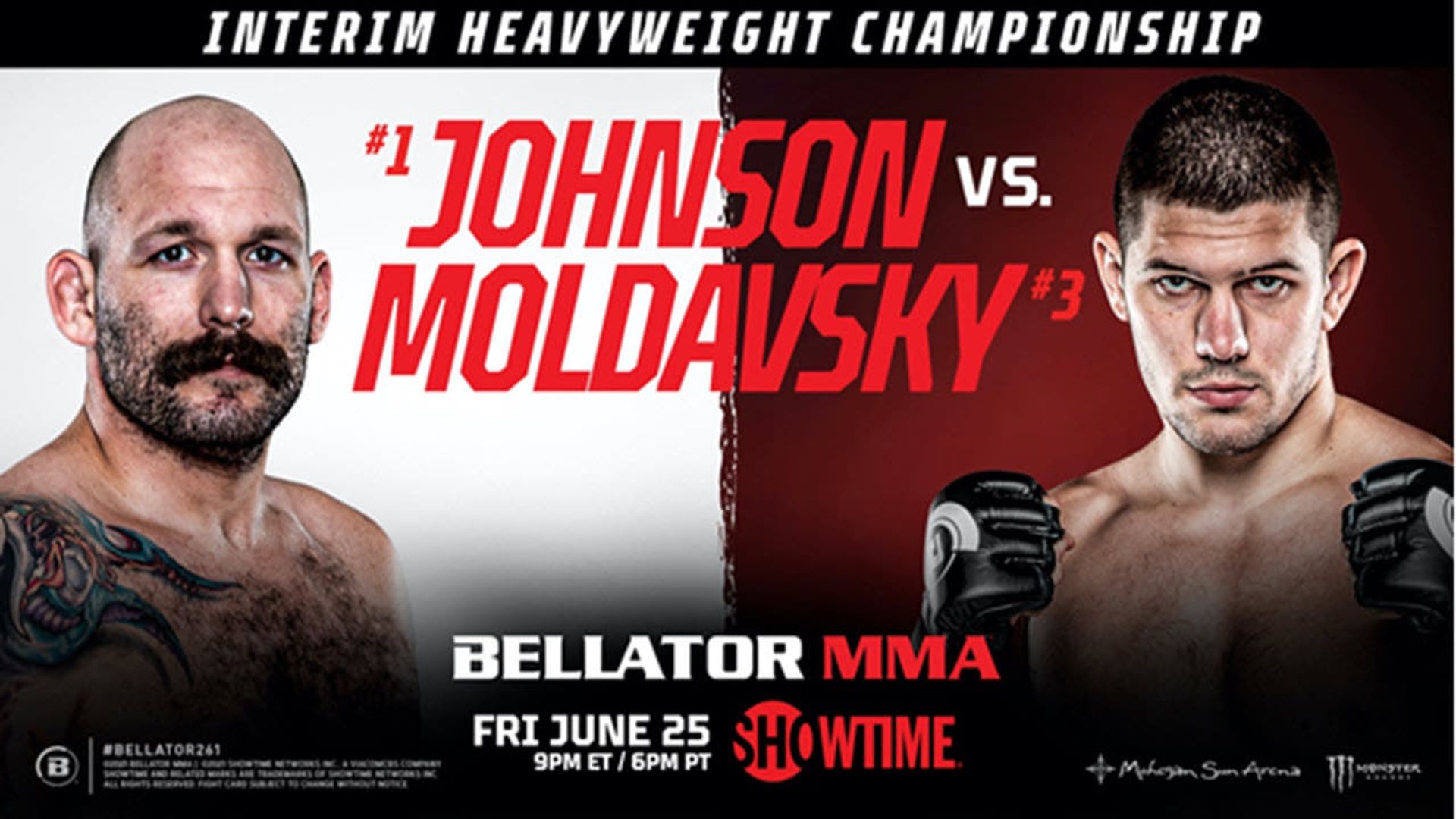 Bellator MMA background