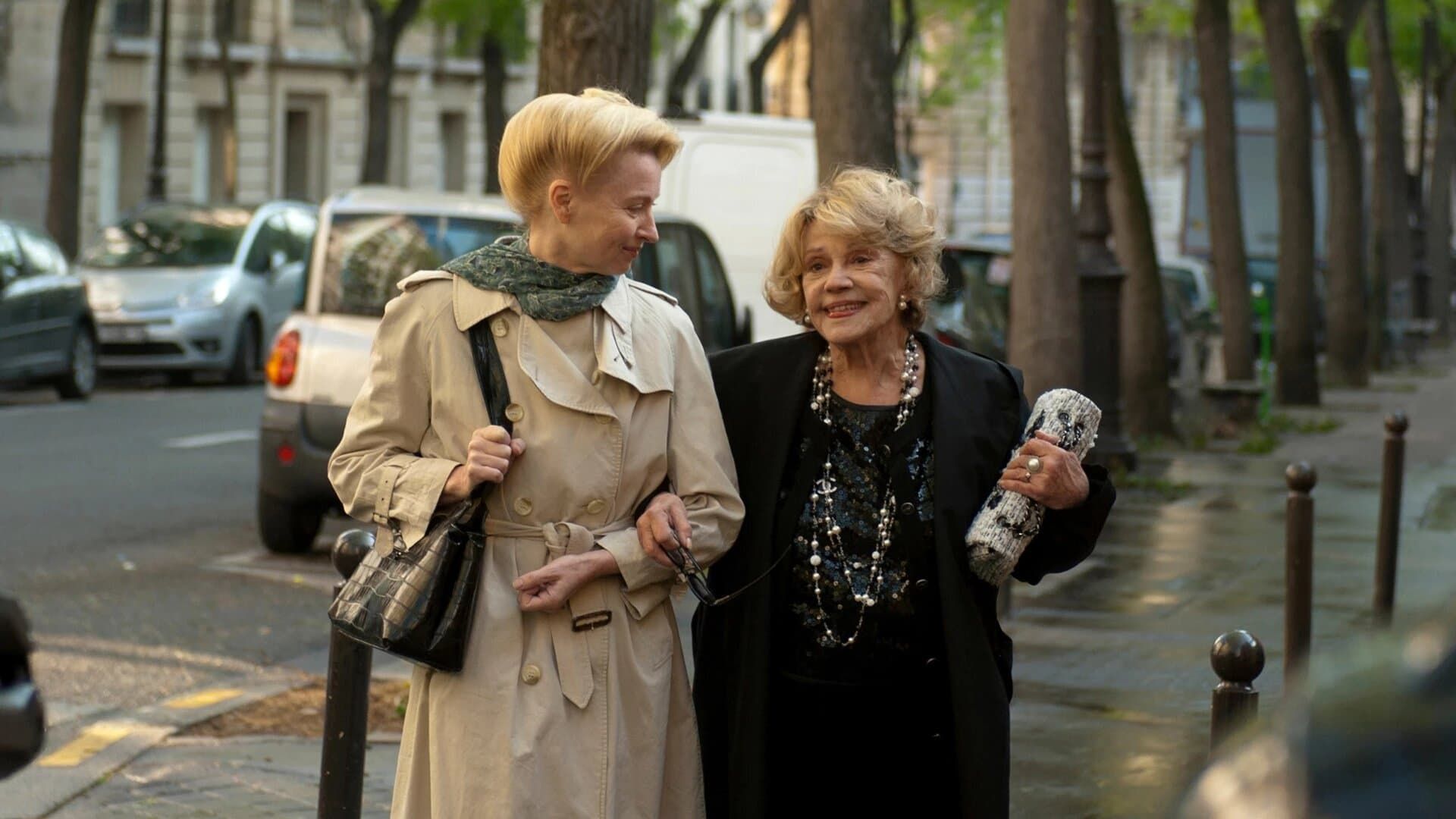 A Lady in Paris background