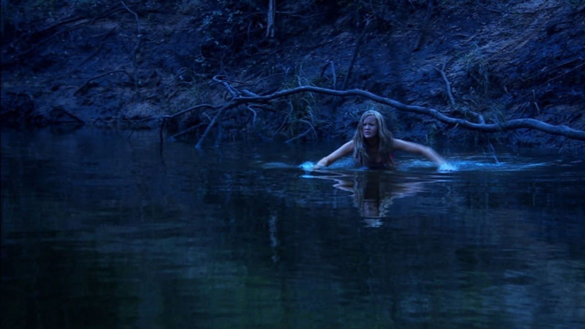 Boggy Creek background