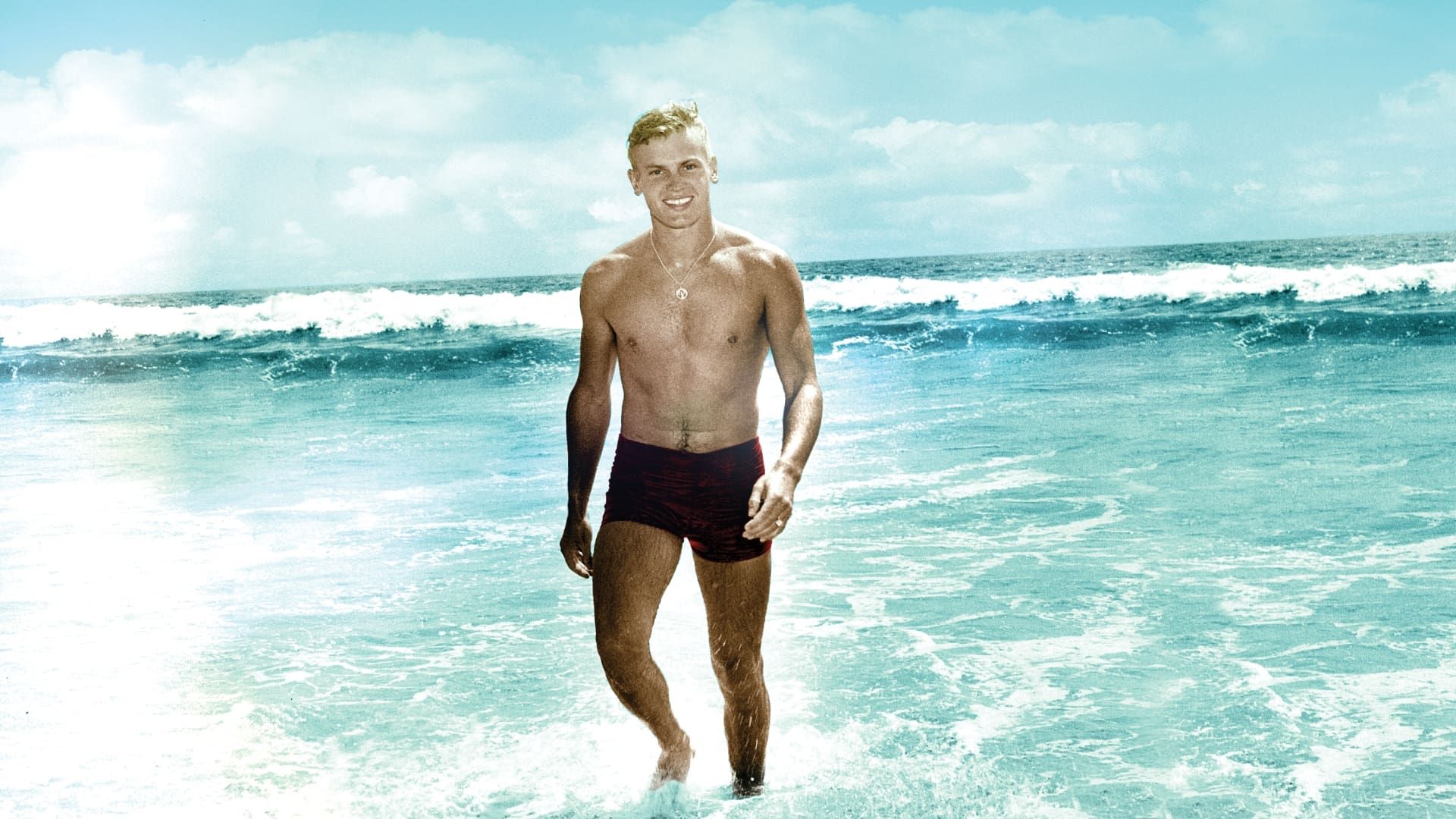 Tab Hunter Confidential background